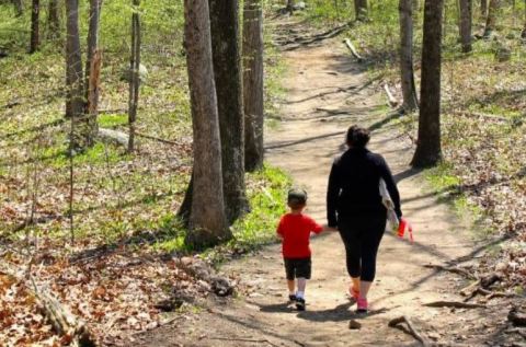 Nature Lovers Will Adore This Outdoor Discovery Park In Connecticut