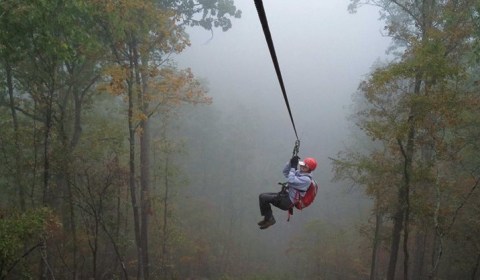 There's A Zip Line Hike In This Arkansas Forest And It's The Ultimate Adventure