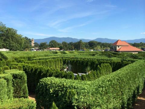 The Gorgeous Garden Maze In Virginia That Will Enchant You At Every Turn