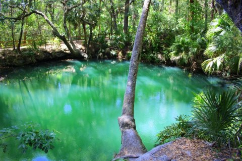 The Tranquil Park In Florida With Emerald Green Springs Like You Wouldn't Believe