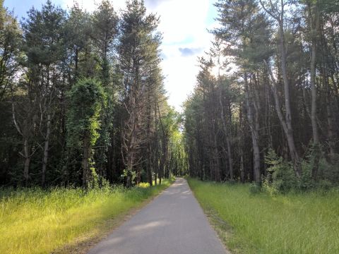 Michigan's Dreamiest Nature Preserve Is The Perfect Place For An Enchanted Hike