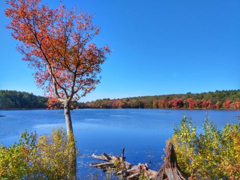 This Exhilarating Hike Takes You To The Most Crystal Blue Lake In Rhode Island