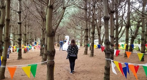 The Woodland Maze In Maryland That Leads To Fairy Tale Relics