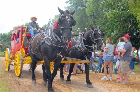 True Oklahomans Would Never Miss This Epic Chuck Wagon Festival