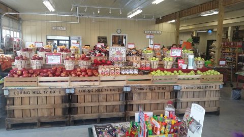 This One-Of-A-Kind Fruit Farm In West Virginia Serves Up Fresh Homemade Pie To Die For