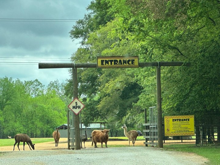 alabama safari park