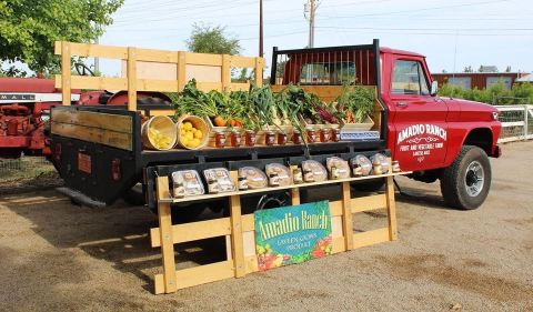 This One-Of-A-Kind Peach Farm In Arizona Serves Up Fresh Homemade Pie To Die For