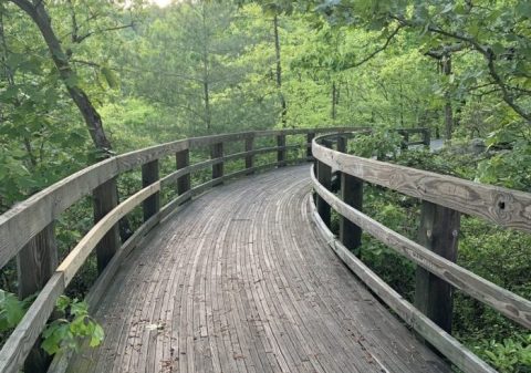 One Of The Most Beautiful Mountain Trails In Virginia Is Less Than A Mile Long