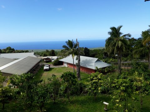 Explore A Lava Tube And A Treehouse At This Unique Coffee Lover's Destination In Hawaii