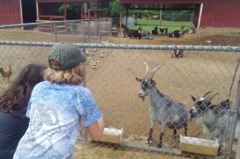 The Awesome City Park In North Carolina With A Zoo That Doesn't Cost A Dime