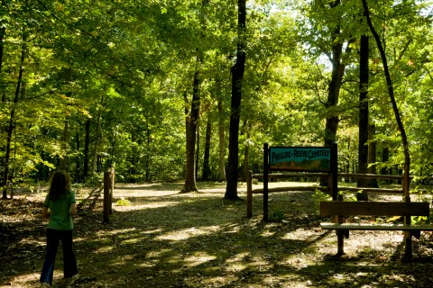 This Pioneer Cemetery In Arkansas Is Home To An Unexpectedly Beautiful Hike