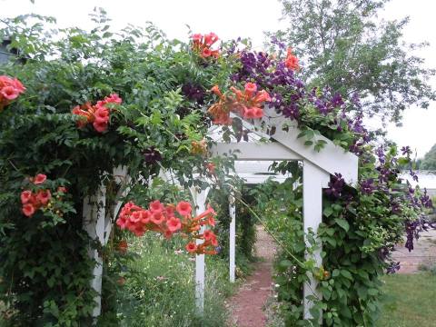 Visit This Flower Farm In Wisconsin For That Beautiful Scenic Experience You Crave