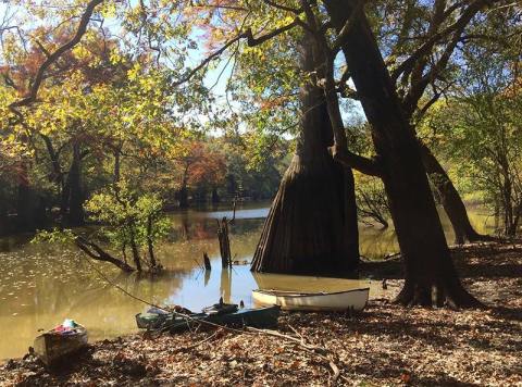 This All Day Water Trail Through An Arkansas Bayou Is Positively Peaceful