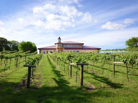 The Frozen Wine Slushies From This Minnesota Vineyard Are A Delicious Summer Treat