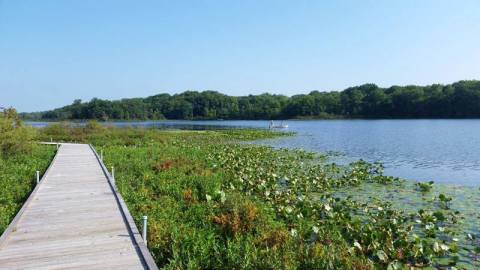 Greater Cleveland's Most Refreshing Hike Will Lead You Straight To A Beautiful Swimming Hole