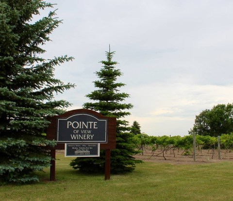 The First Winery In North Dakota Is A Destination Everyone Should Visit