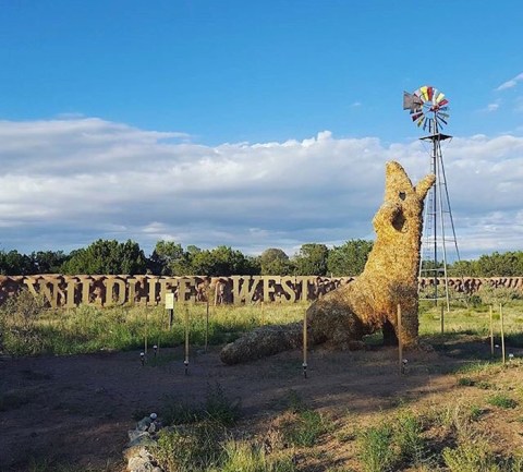 This Walk-Through Safari Park In New Mexico Is The Best Way To See Wildlife Up Close