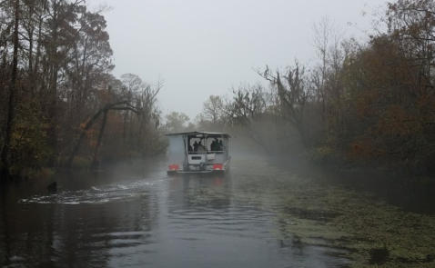 The Swamp And Plantation Tour Is So Quintessentially New Orleans