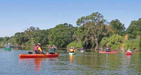 This Paddle Tour Through A Northern California Wildlife Refuge Is Pure Bliss