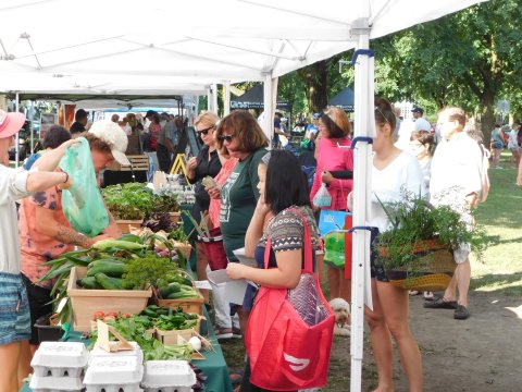 Everyone In Buffalo Must Visit This Epic Farmers Market At Least Once