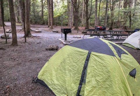 You Can Rent This Entire Campground In North Carolina For Just $50 Per Night