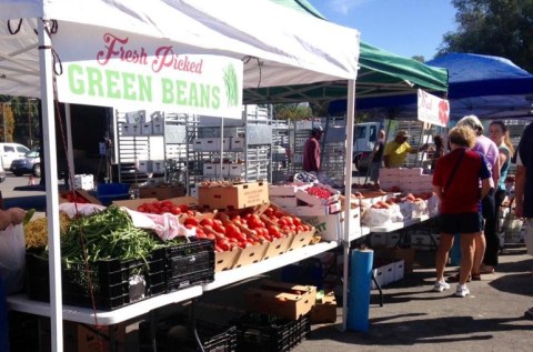 Utah's Oldest Farmers Market Is Located In The Most Beautiful Park In The State