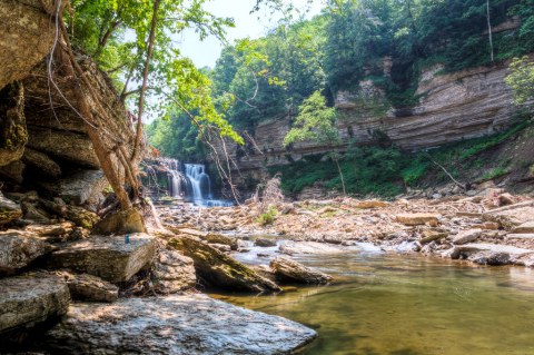 Nashville's Most Refreshing Hike Will Lead You Straight To A Beautiful Swimming Hole