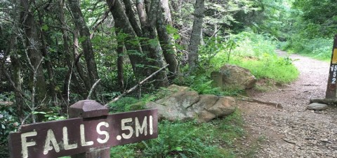 Take This Easy Trail To An Amazing Hidden Waterfall In North Carolina