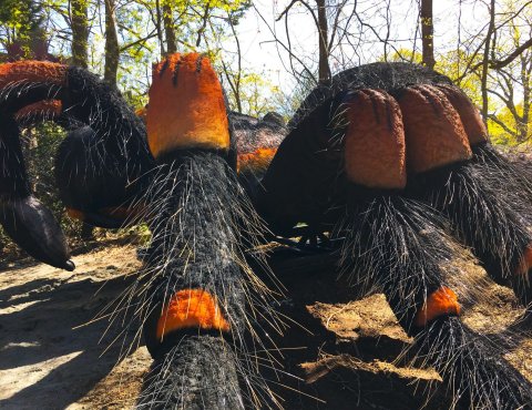 Bugs As Tall As Buildings Are Invading This Massachusetts Zoo And You Don’t Want To Miss It