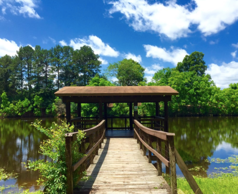 The One Park In Louisiana With A Hammock Village, Swinging Bridges, Fishing Ponds, And Trails Truly Has It All