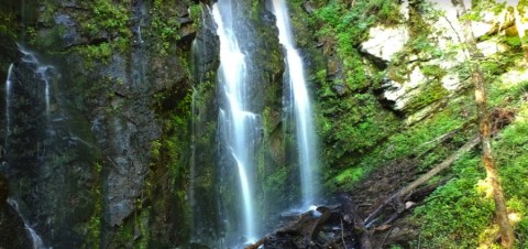 There’s An Emerald Waterfall Hiding In South Carolina That’s Too Beautiful For Words