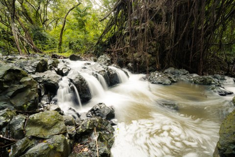 Less Than A Mile Of Hiking Will Lead You To This Stunning Hawaii Waterfall