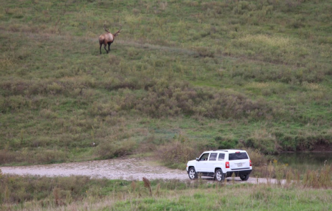 Visit The Safari Park In Nebraska That Was Named The Best In The Nation