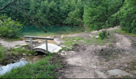 The Delightful Trail In Virginia That Will Lead You Straight To An Emerald Pond