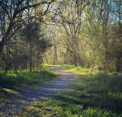 The Beautiful Trail That Connects Two Charming Virginia Mountain Towns