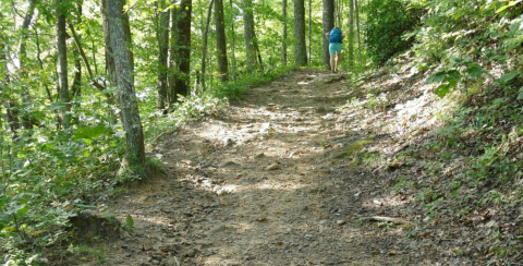 Hike To The Top Of This Iconic Virginia Mountain Where Three Different States Converge