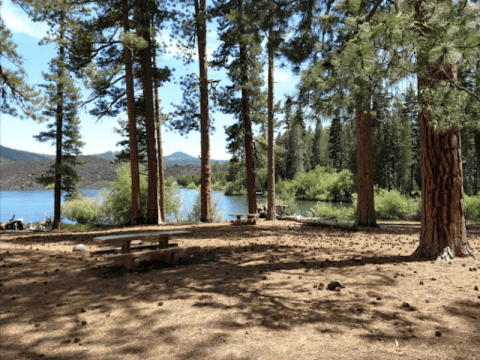 Rent An Entire Campground In Northern California For Just $62 A Night