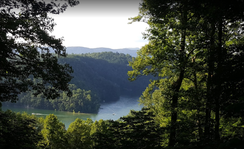 The Cleanest Lake In Tennessee Is Ideal For Your Next Summer Dip