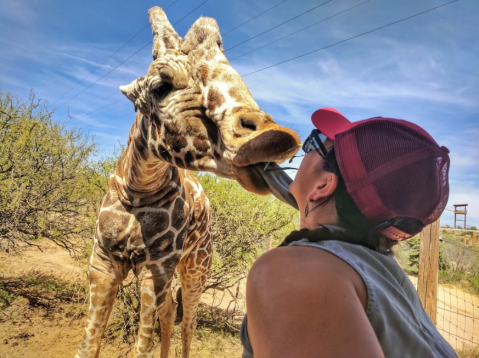 Adventure Awaits At This Drive-Thru Safari Park In Arizona