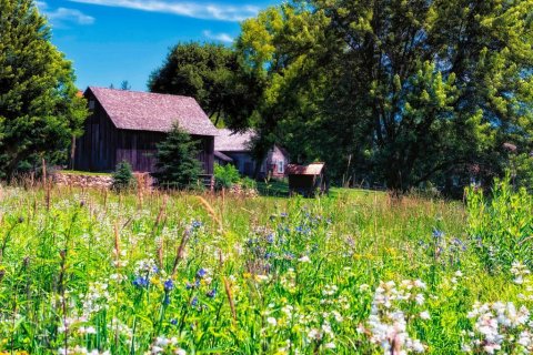 The Underappreciated Museum That Shows You A Side Of Minnesota You’ve Never Seen Before