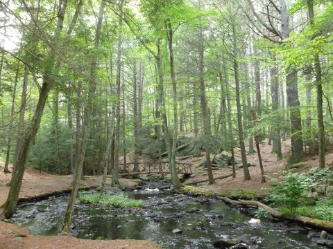 The Magical River Walk In Rhode Island That Will Transport You To Another World