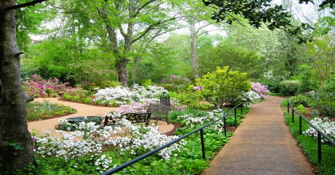 This Beautiful 7-Acre Botanical Garden In Mississippi Is A Sight To Be Seen