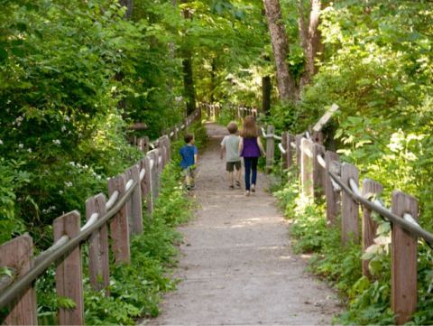 This West Virginia Trail Is A Natural Work Of Art