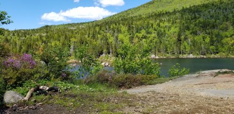 The Hike To This Gorgeous Maine Swimming Hole Is Everything You Could Imagine