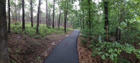 This 2-Mile Hike In Oklahoma Takes You Through An Enchanting Forest