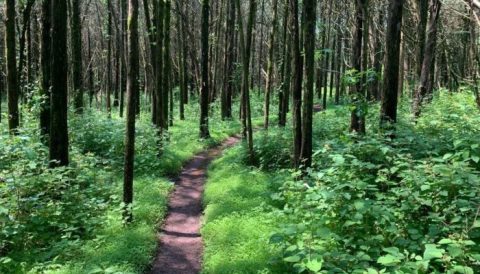 This Exhilarating Hike Takes You To The Most Crystal Blue Lake In Pennsylvania