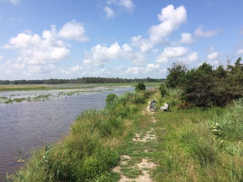 You'll Never Want To Leave This Delaware Park That's Home To Wildlife, Beaches, and Boardwalk Trails