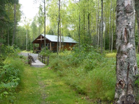 The Tiny Cabin In The Alaskan Woods That Gets More Charming Year After Year