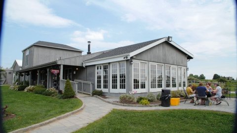 The Frozen Wine Slushies From This Connecticut Vineyard Are A Delicious Summer Treat