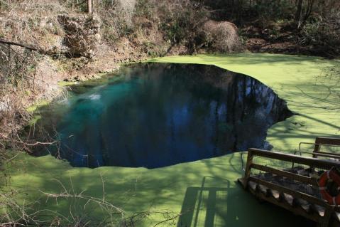 This Day Trip To The Longest Cave In Florida Is Full Of Adventure